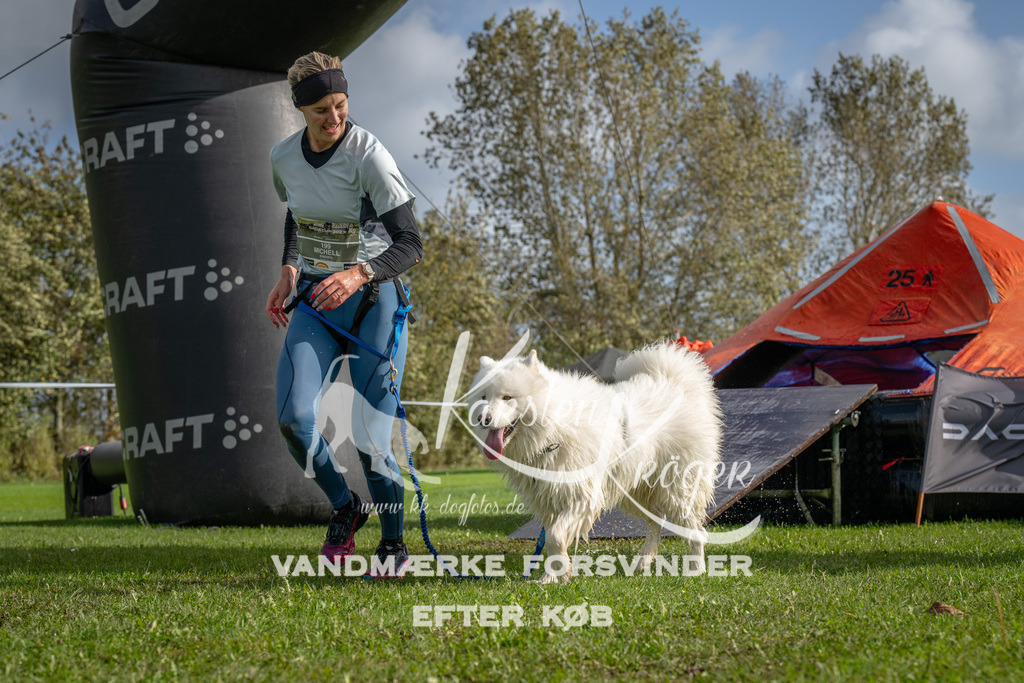 1211-92765 | kk-dogfotos