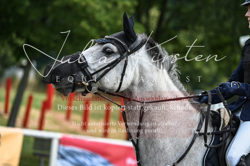 DSC_8137 | Pferde- und Turnierfotografie in Westsachsen. Pferdeportraits, Auftragszeichnungen und intuitive Kunst.