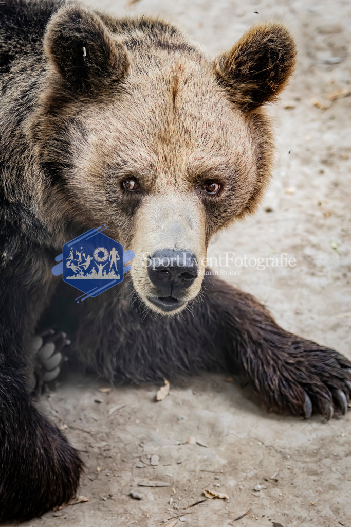 IMG_3023 | SportEventFotografie - Roman Stoiber