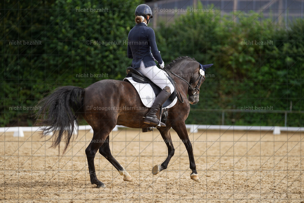 20240825-FAH00208 | Turnierbilder, Reitsportfotos, LAPO, Landesponyturnier, Turnierfotografen Bayern