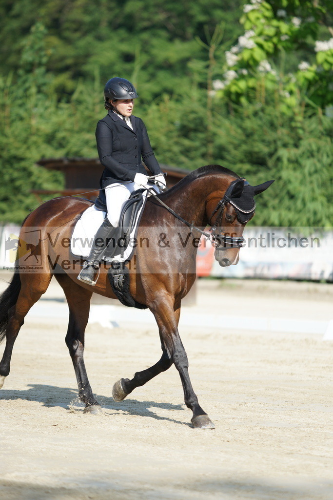 DSC01293 | equestrian-live-com