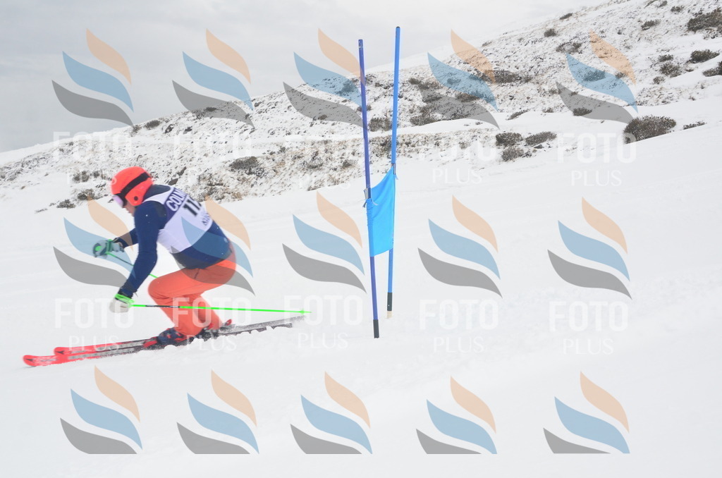 A5949 | holidayphoto