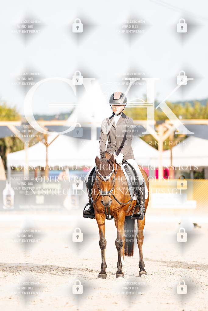 CK904017 | Turnierfotografie Pferdefotografie Trier Rheinland-Pfalz Pferdesport Reitsport Tierfotografie Sportfotografie Pferdevideo Pferdevideografie Equestrianvideography equestrianphotography  - Realisiert mit Pictrs.com