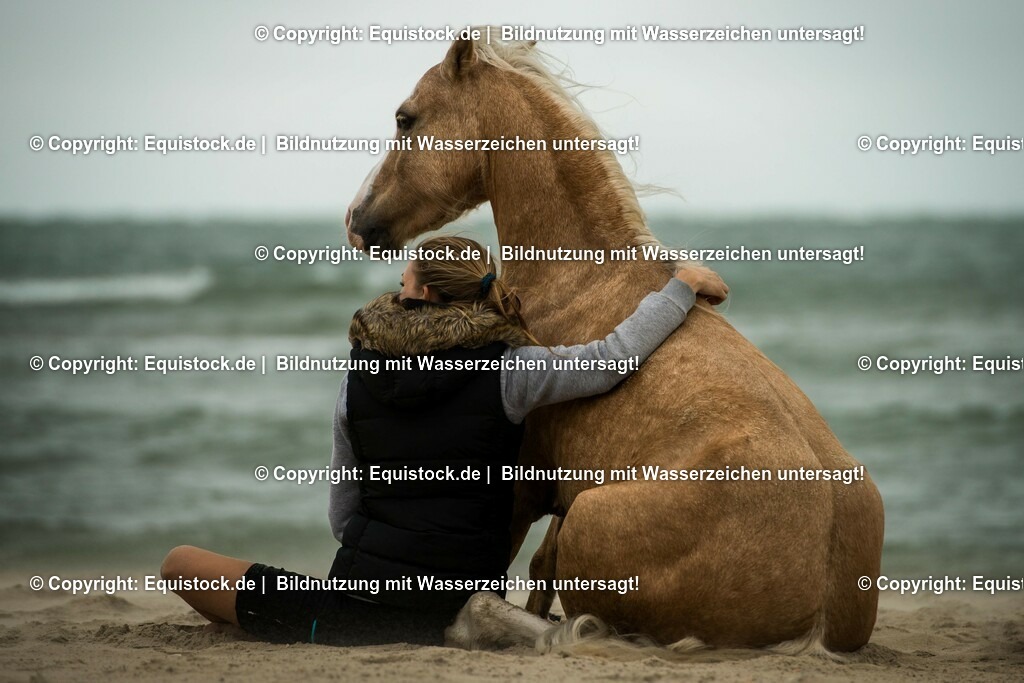 TS_20160929_Pony_am_Strand_0001 | Foto: Thomas Hartig