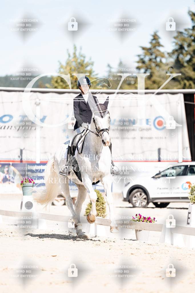 CK908953 | Turnierfotografie Pferdefotografie Trier Rheinland-Pfalz Pferdesport Reitsport Tierfotografie Sportfotografie Pferdevideo Pferdevideografie Equestrianvideography equestrianphotography  - Realisiert mit Pictrs.com