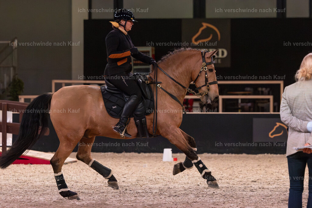 JoseraCup-133 | working equitationturnier fotograf videograf stoibphotography marixx film working equitation deutschland reitsport turnierfotografie eventfotografie equestrian events