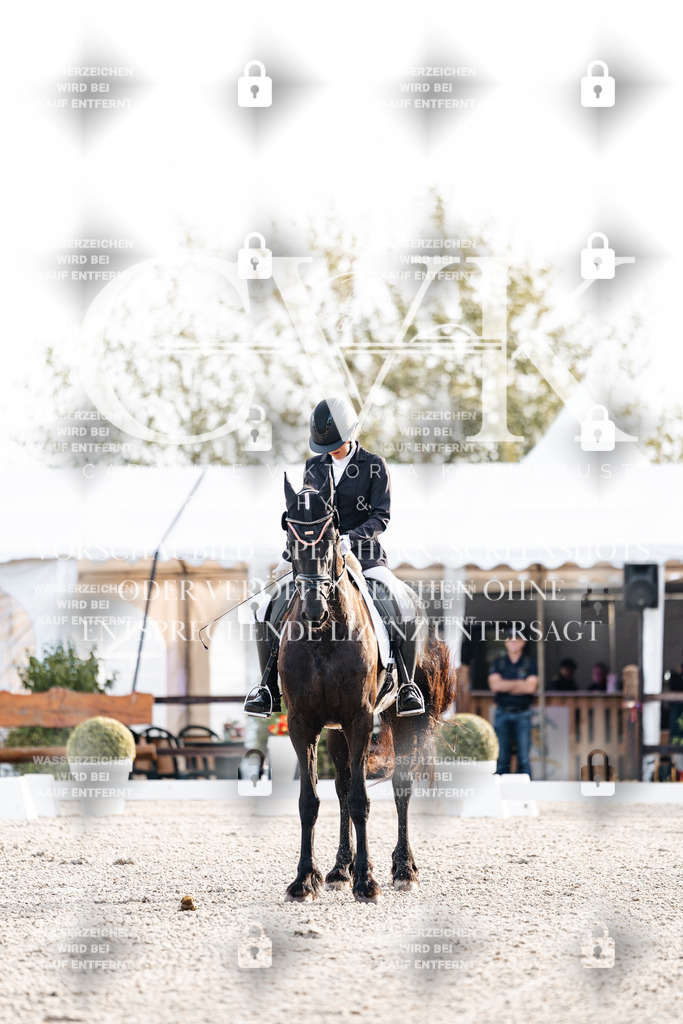 CK900373 | Turnierfotografie Pferdefotografie Trier Rheinland-Pfalz Pferdesport Reitsport Tierfotografie Sportfotografie Pferdevideo Pferdevideografie Equestrianvideography equestrianphotography  - Realisiert mit Pictrs.com