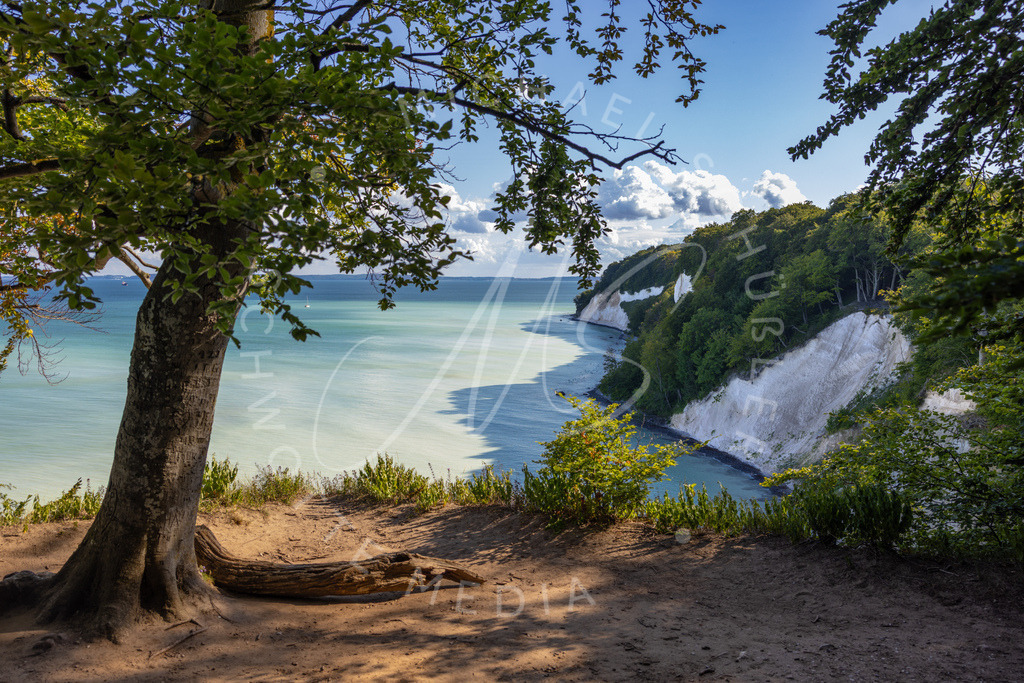 2026-07-23 Ruegen Piratenschlucht Kreidefelsen 146 | Schwotte Media - Realisiert mit Pictrs.com