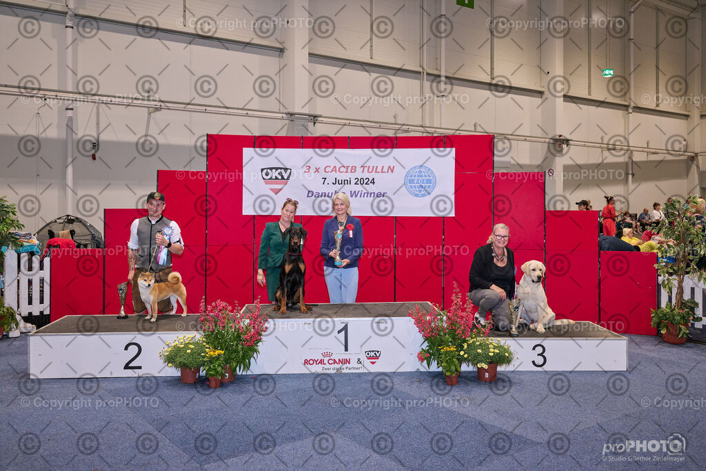 202406_ÖKV-IHA-Tulln24_NZ9_7774 | proPHOTO - Realisiert mit Pictrs.com