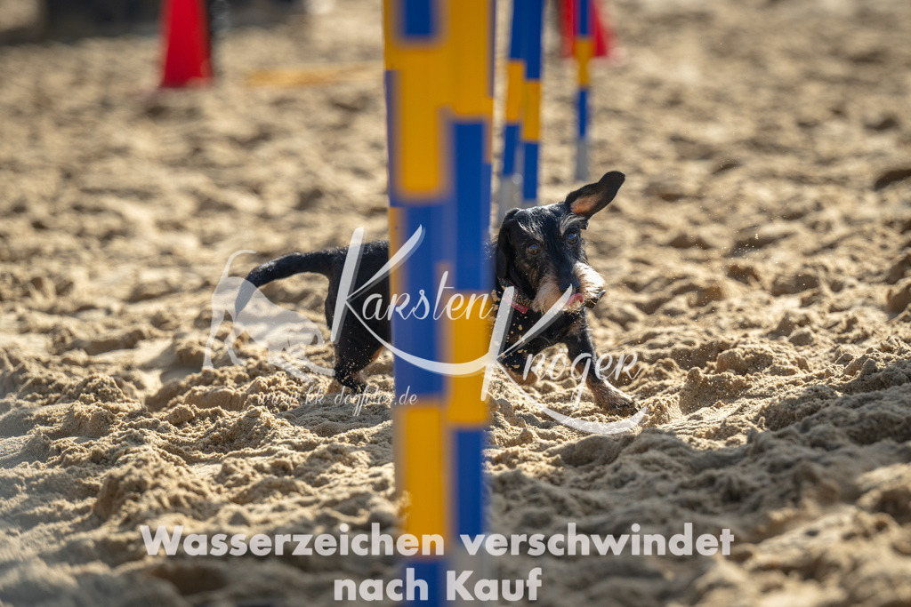 1100_ZZ90009 | kk-dogfotos