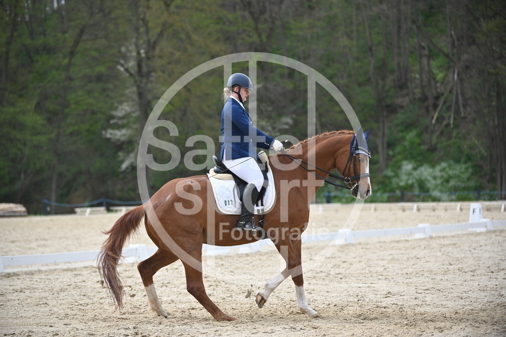 DSC_5024 | sattelsport - Realisiert mit Pictrs.com