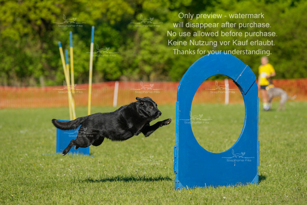 Sa_CSC-524 | stephaniefillaphotographie - Realisiert mit Pictrs.com