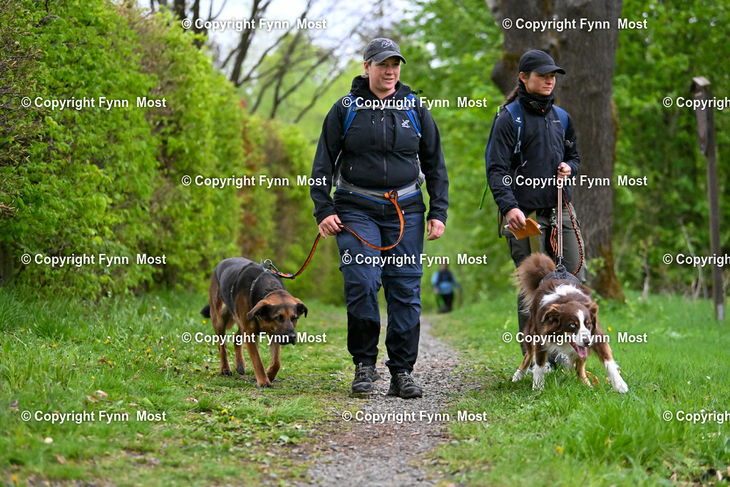 DSC_6897 | Hallo und herzlich Willkommen auf meiner Shop-Seite Fynn Most.

Ich wünsche Dir viel Spaß beim stöbern durch die Bilder, wenn Du Fragen hast oder Bilder vermisst, kannst du mir gerne eine Nachricht schreiben. - Realisiert mit Pictrs.com