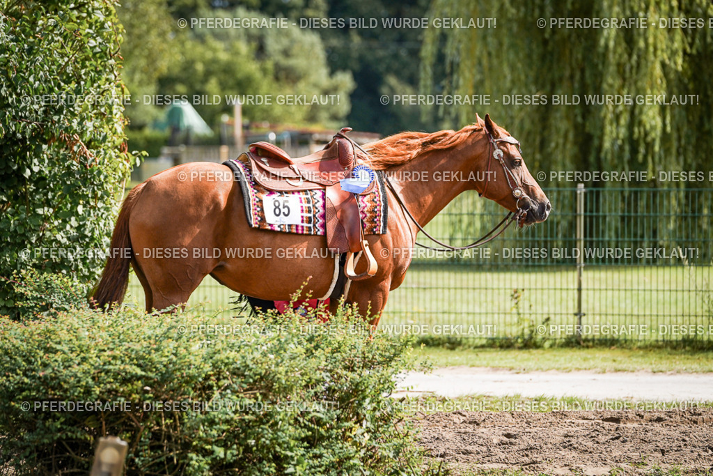 DSC09565 | Pferdegrafie