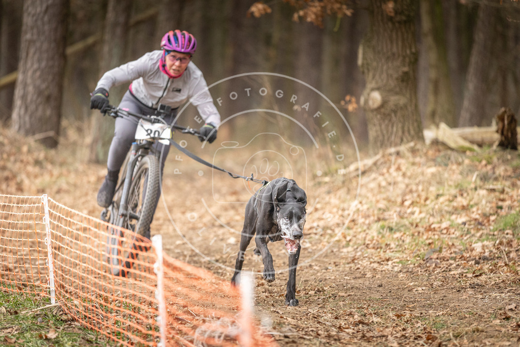 Pfotenfotografie_DV3A2549 | Hundefotografie, Tierfotograf, Pfotenfotografie, Fotoshooting Hund, Hunde Portrait, Hundesport, Hundeportraits, Heideshooting, Hunde, Sportfotograf, Hundefotograf, Turnierhundsport, THS,  - Realisiert mit Pictrs.com