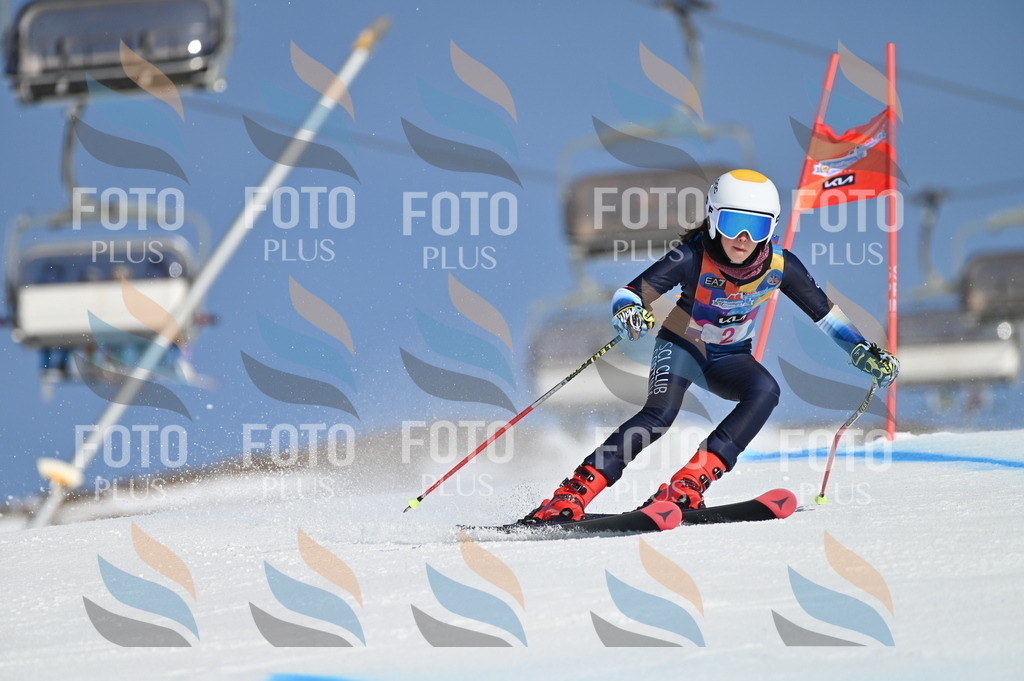 BGV_7597 | holidayphoto