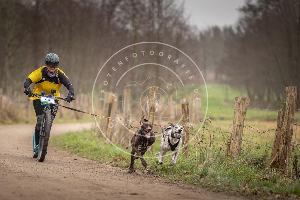 Pfotenfotografie_DV3A3189 | Hundefotografie, Tierfotograf, Pfotenfotografie, Fotoshooting Hund, Hunde Portrait, Hundesport, Hundeportraits, Heideshooting, Hunde, Sportfotograf, Hundefotograf, Turnierhundsport, THS,  - Realisiert mit Pictrs.com