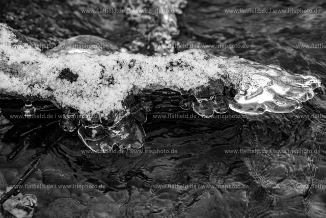 Eisflügel | Naturfoto von Eisskulpturen - Gesehen am Liederbach im Taunus.