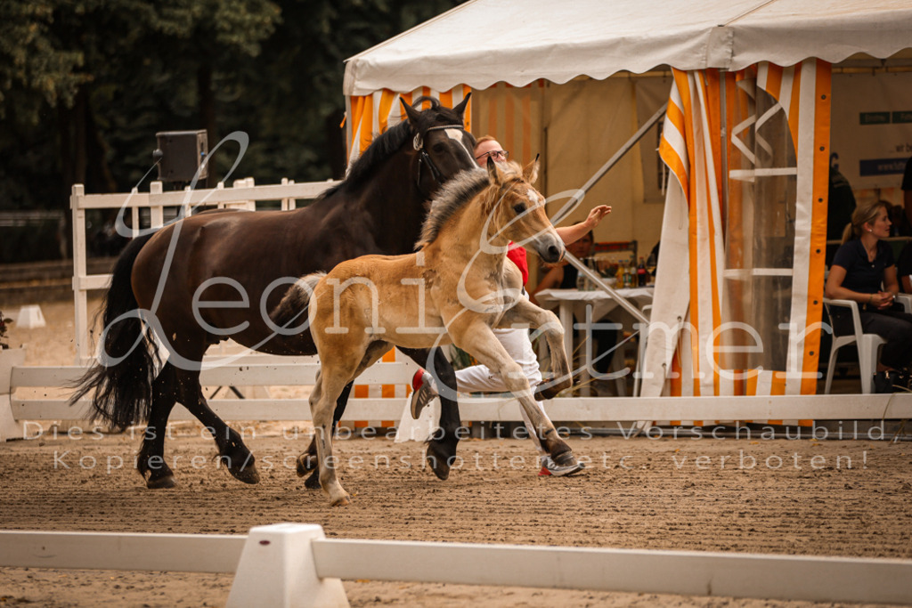 SaSF00035 | Leoni Ertmer Photography - Realisiert mit Pictrs.com