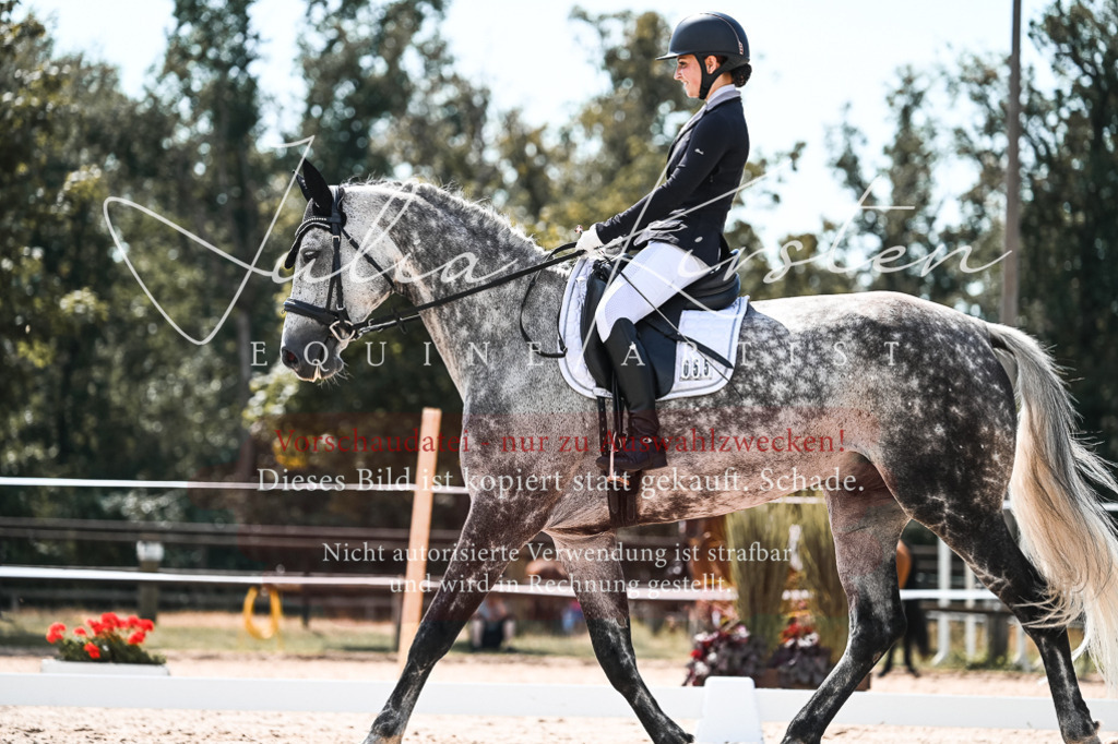 DSC_5576 | Pferde- und Turnierfotografie in Westsachsen. Pferdeportraits, Auftragszeichnungen und intuitive Kunst.