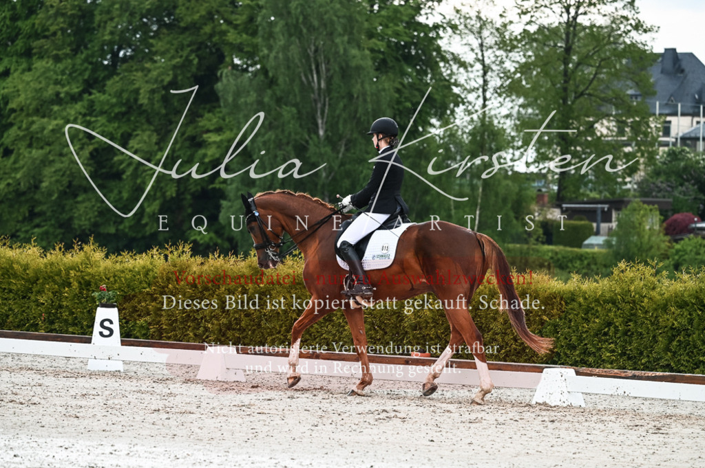 DSC_4274 | Pferde- und Turnierfotografie in Westsachsen. Pferdeportraits, Auftragszeichnungen und intuitive Kunst.