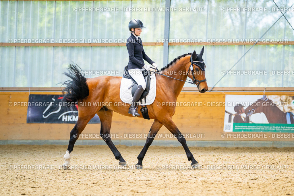 DSC09222 | Pferdegrafie