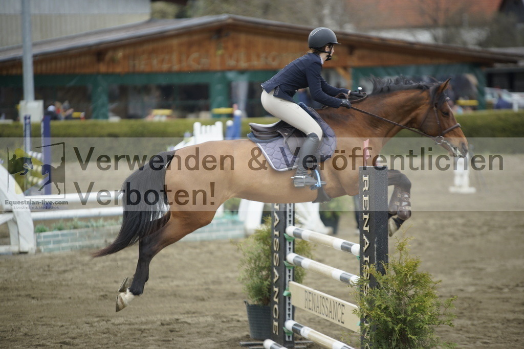 _DSC7378 | equestrian-live-com