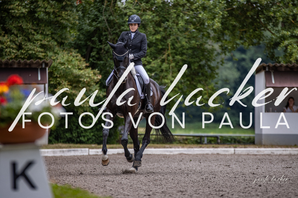 IMG_6243 | Erleben Sie dynamische Sport- und emotionale Tierfotografie in Süddeutschland mit Fotos von Paula. Spezialisiert auf Pferde- und Hundefotografie sowie Sportevents. Kontaktieren Sie mich für einzigartige und ausdrucksstarke Bilder Ihrer besonderen Momente.