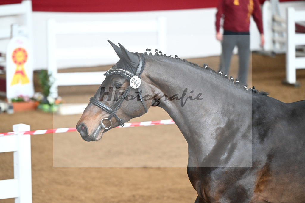 Kat-Nr. 44 Uma v. Uno I_Volkert_9240863 | hf-fotografie - Realizzato con Pictrs.com