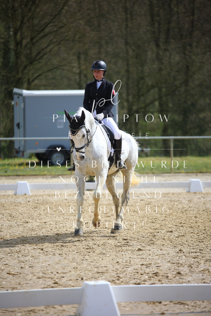 IMGT4861 | pl-fotografie