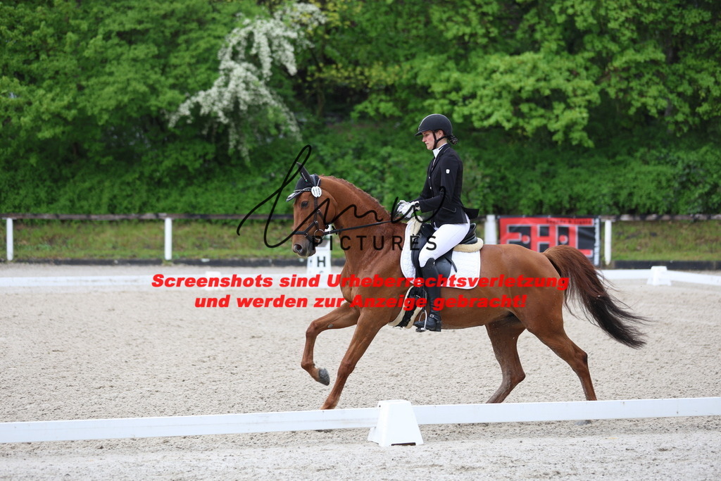 A40A8426 | lmwpictures - Realisiert mit Pictrs.com