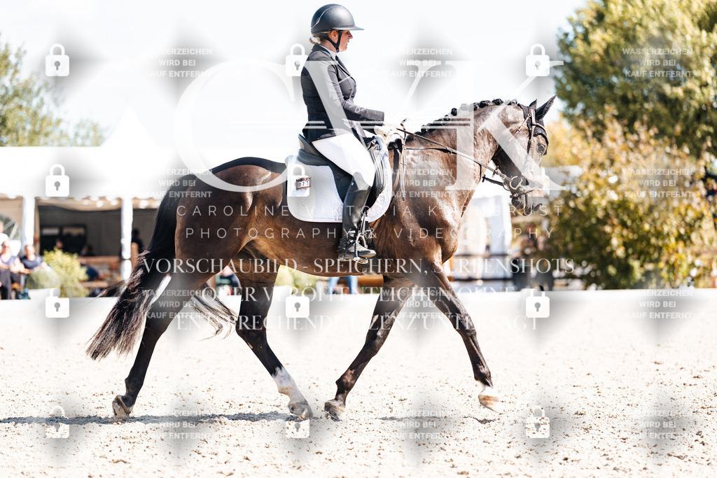 CK903546 | Turnierfotografie Pferdefotografie Trier Rheinland-Pfalz Pferdesport Reitsport Tierfotografie Sportfotografie Pferdevideo Pferdevideografie Equestrianvideography equestrianphotography  - Realisiert mit Pictrs.com