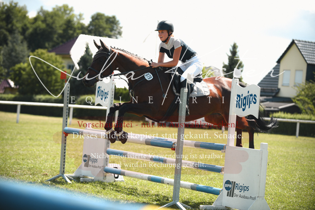 DSC_6498 | Pferde- und Turnierfotografie in Westsachsen. Pferdeportraits, Auftragszeichnungen und intuitive Kunst.