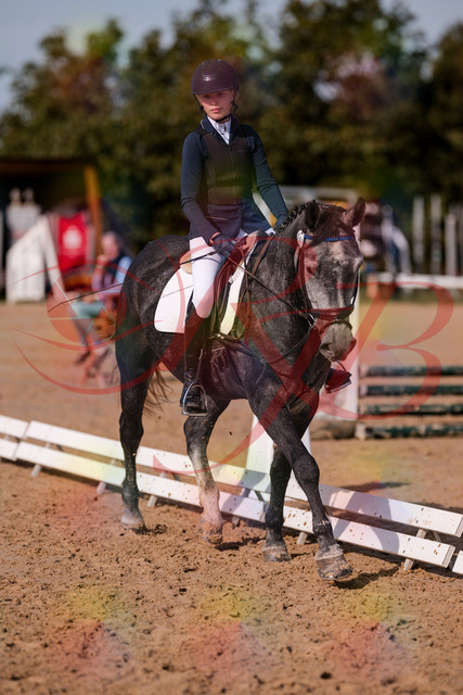2026_10_03_Siefer-Hof_120028_Z81_02302371 | Professionelle Reitsport-, Turnier- und Eventfotografie von Robert Broda. Galerien mit ausgewählten und bearbeiteten Bildern direkt online ansehen und bestellen.