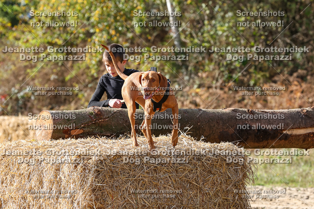 Dog Paparazzi - Strongdog 10-25-5470 | Dog Paparazzi Jeanette Grottendiek Fotografie & Videografie - Realisiert mit Pictrs.com