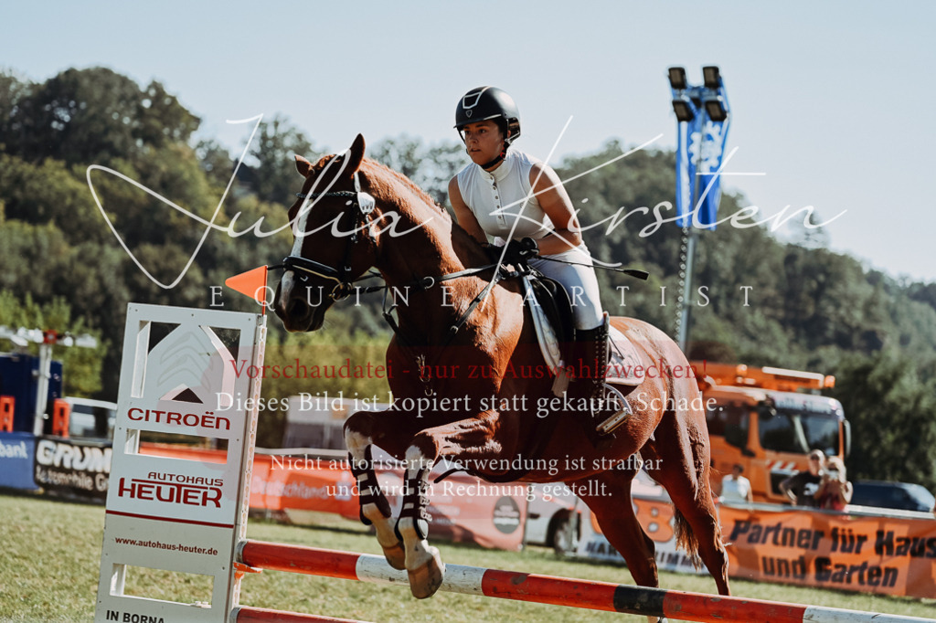 DSC_6975 | Pferde- und Turnierfotografie in Westsachsen. Pferdeportraits, Auftragszeichnungen und intuitive Kunst.