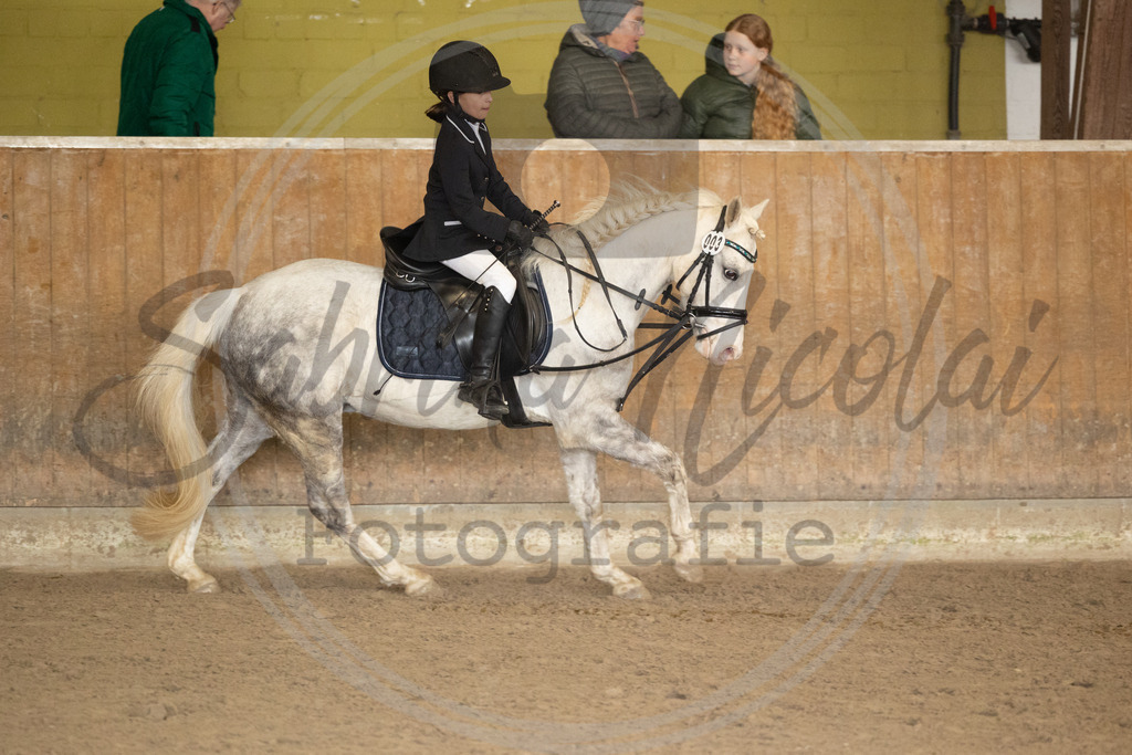 994A8752 | sabrinanicolaifotografie - Realisiert mit Pictrs.com