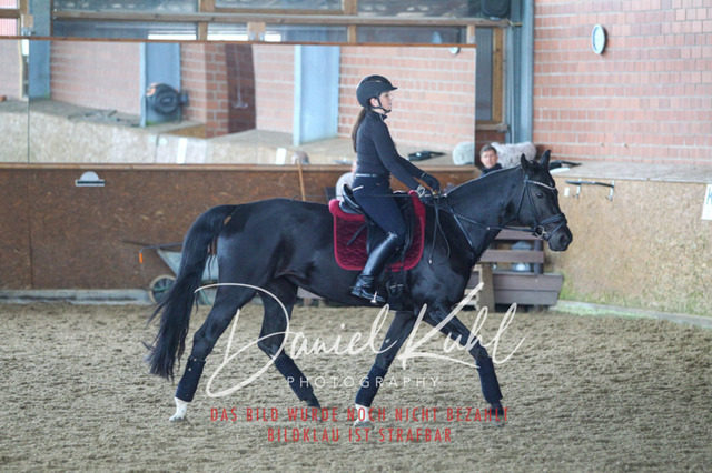 DKP42885 | Turniersportfotografie; Pferdefotografie; Dressurfotografie