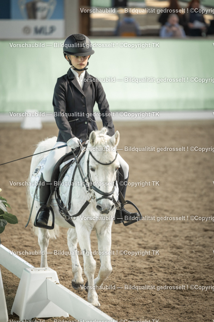 _D5A5645 | Emotionale Pferde- & People-Fotografie rund um Heidelberg, Leimen & Umgebung. Natürliche Fotos von Pferd, Mensch & Familie. Jetzt Termin sichern!