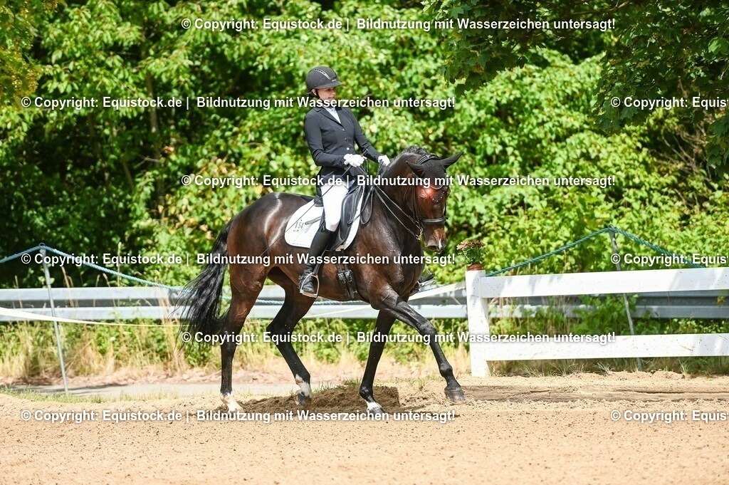 20230716_01_Dressurprüfung Kl.M_0048 | equistock