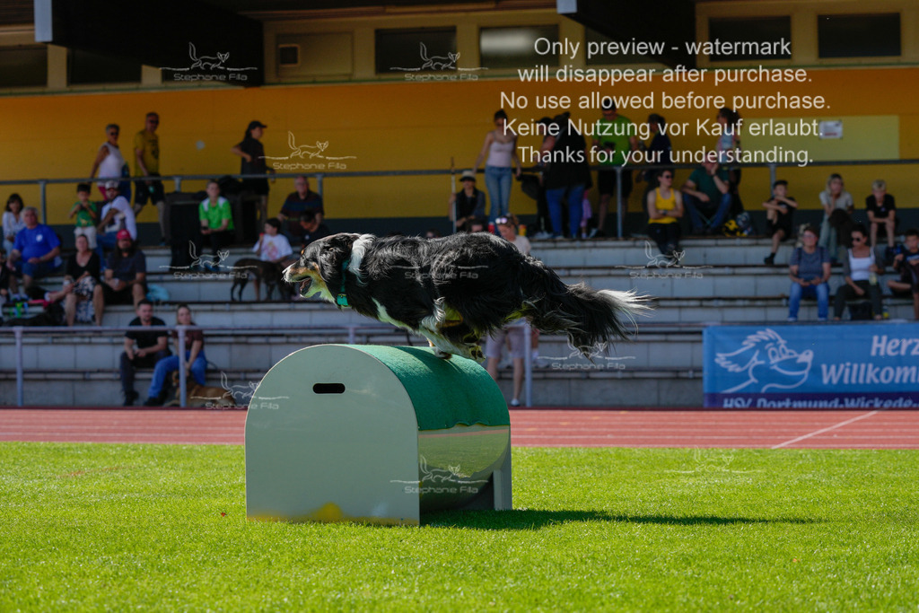 Sonntag_VK Hindernis (491 von 671) | stephaniefillaphotographie - Realisiert mit Pictrs.com