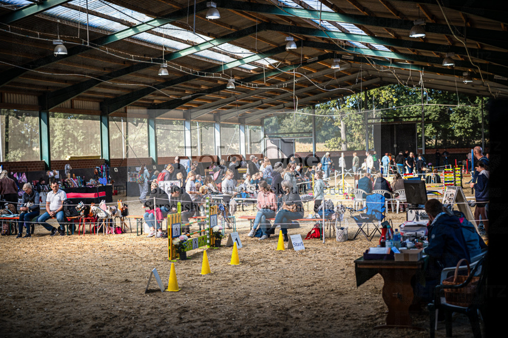 Z63_0058 | Entdecke hochwertige Reitturnierfotos von Foto Oger. Professionell, emotional und authentisch – jetzt Lieblingsmomente im Shop bestellen.Deutschlandweite Turnierfotografie. - Realisiert mit Pictrs.com