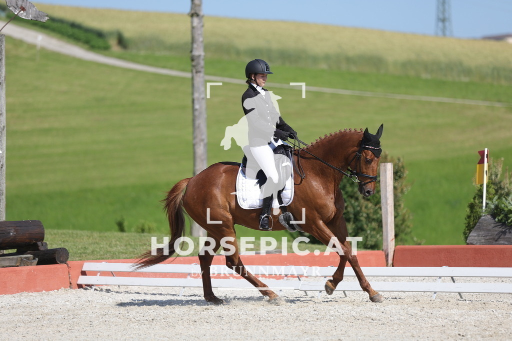 0P6A8123 | Willkommen bei Brunnmayr - Design & Fotografie – Ihrem Spezialisten für Reitturniere und Pferdeveranstaltungen in Oberösterreich, Salzburg und Bayern! Seit über 17 Jahren sind wir leidenschaftlich dabei.