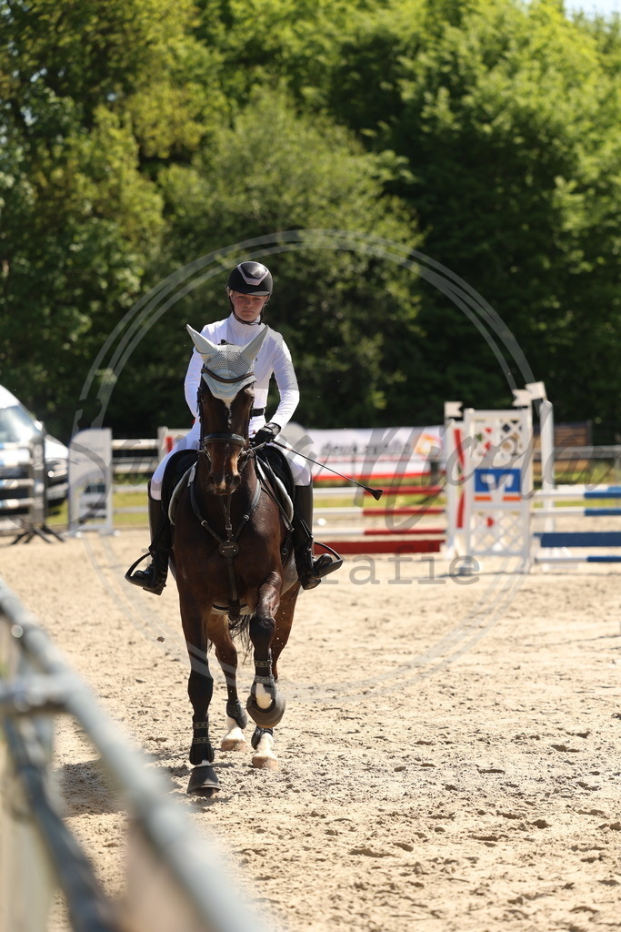 994A5663 | sabrinanicolaifotografie - Realisiert mit Pictrs.com