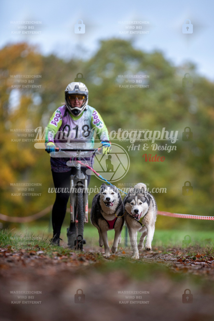 DBT_DAKM_SA_4_11_2023_DS2-53 | PayLife