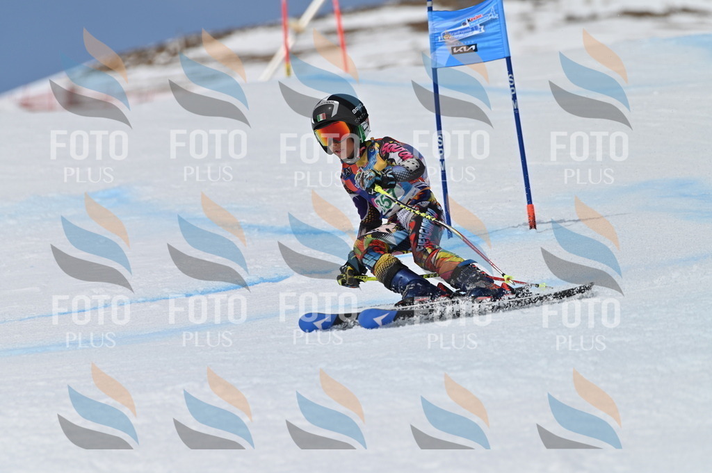 BGV_7055 | holidayphoto