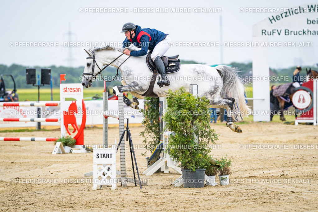 DSC07811 | Pferdegrafie