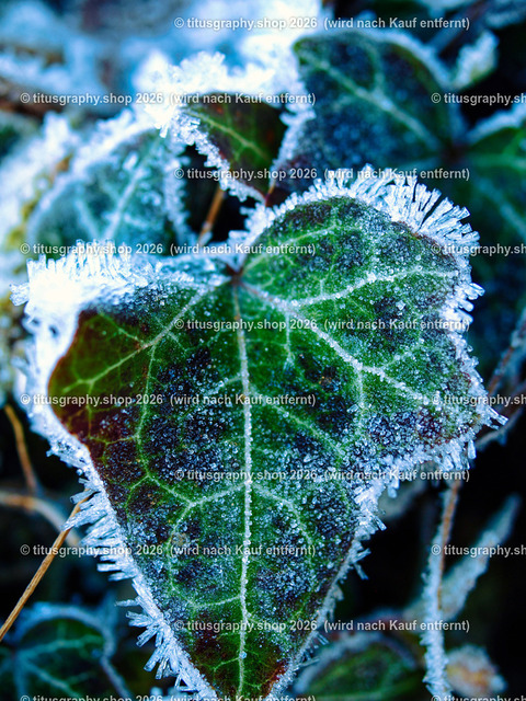 P1214145-topaz-sharpen-ln-1 | Fotokunstarbeit aus der INSTAGRAM-Gallerie auf titusgraphy.eu - Realisiert mit Pictrs.com