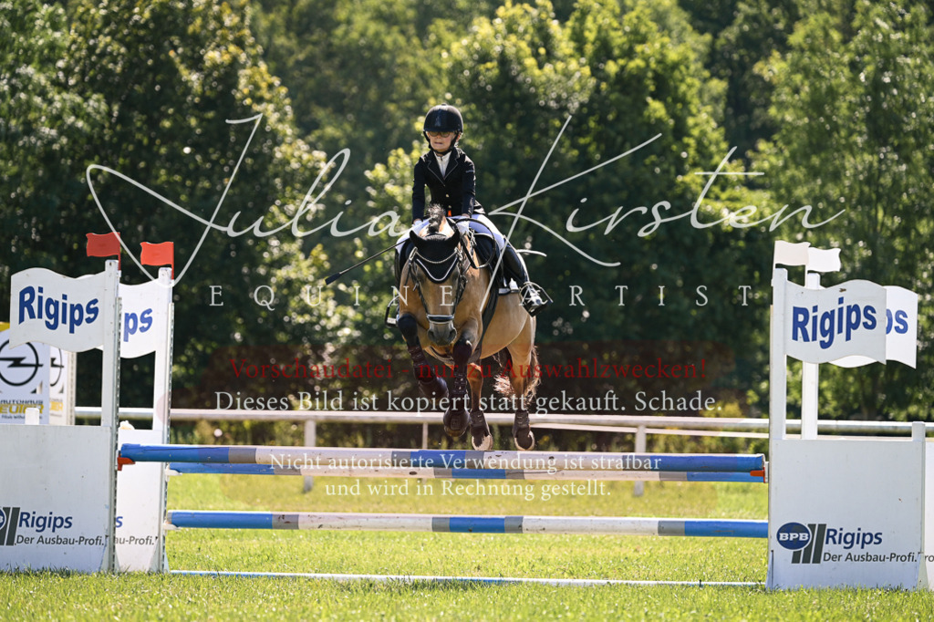 DSC_8806 | Pferde- und Turnierfotografie in Westsachsen. Pferdeportraits, Auftragszeichnungen und intuitive Kunst.