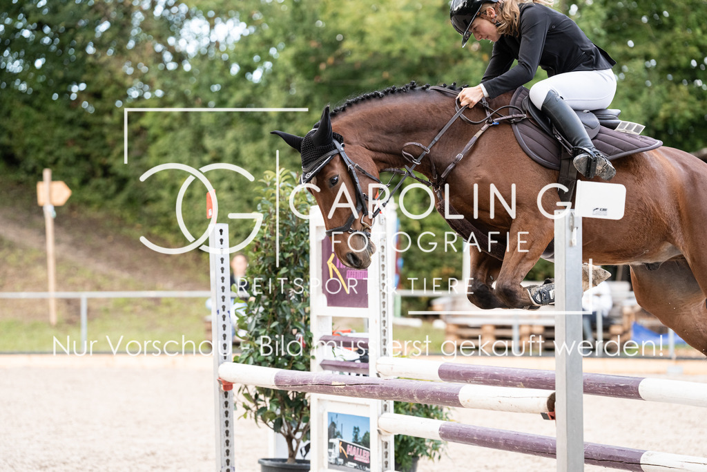 DSC03545 | Carolin Gieschke